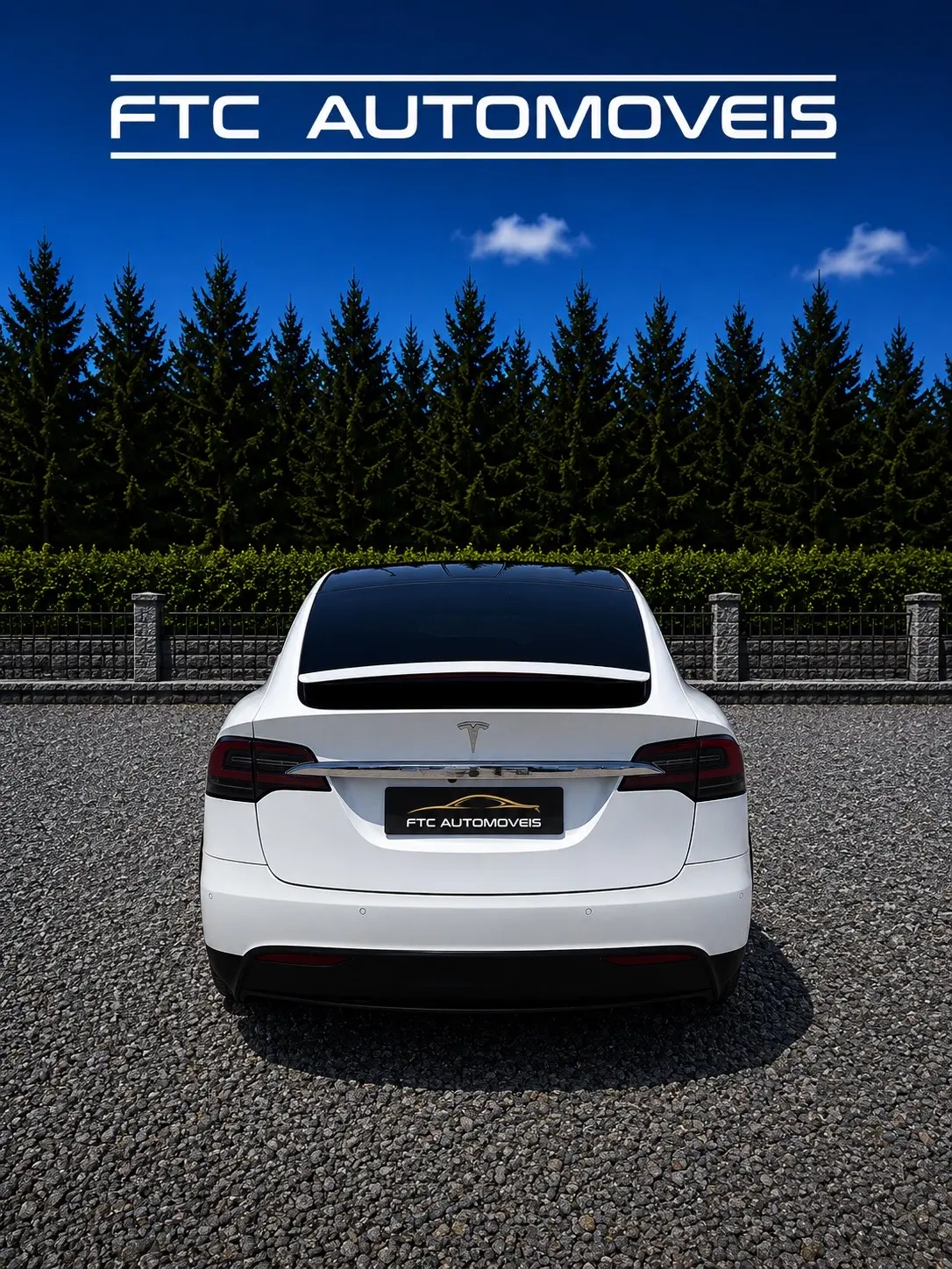 Tesla Model X 100D 4