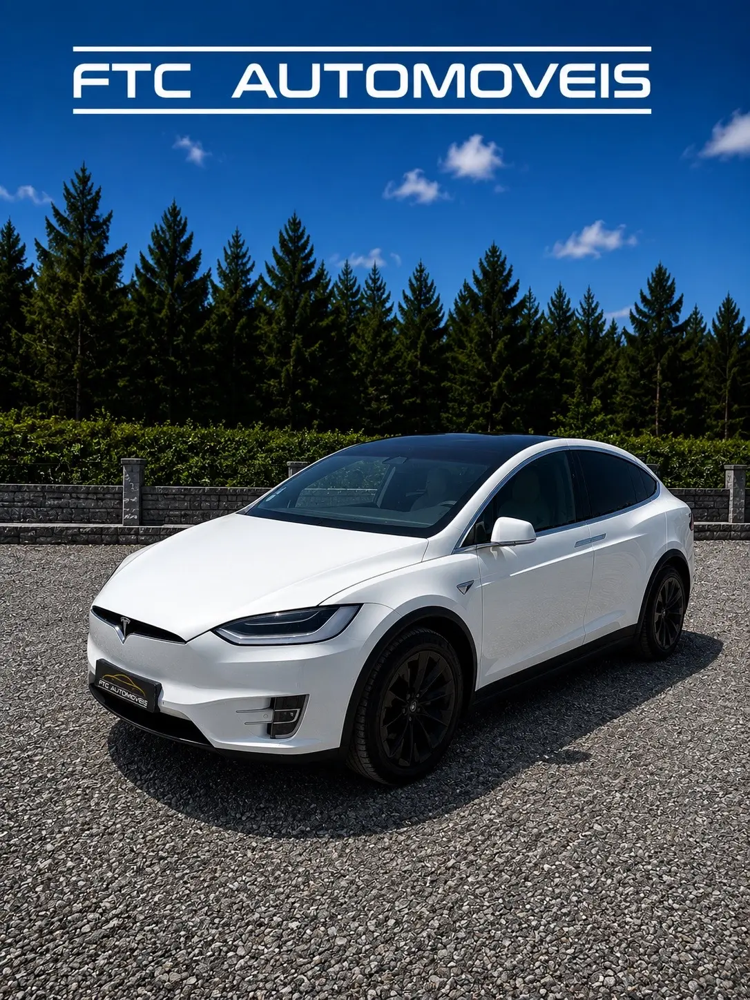 Tesla Model X 100D 1