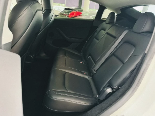 Tesla Model Y Performance Tração Integral 10