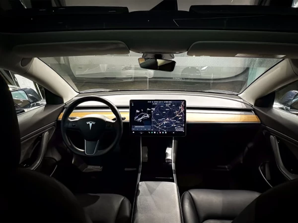 Tesla Model 3 Standard RWD Plus 10
