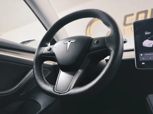 Tesla Model 3 Standard Range Plus RWD 11