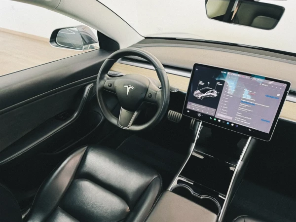 Tesla Model 3 Performance Dual Motor AWD 15