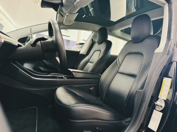 Tesla Model 3 Long-Range Dual Motor AWD 10