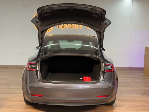 Tesla Model 3 Standard RWD Plus 18