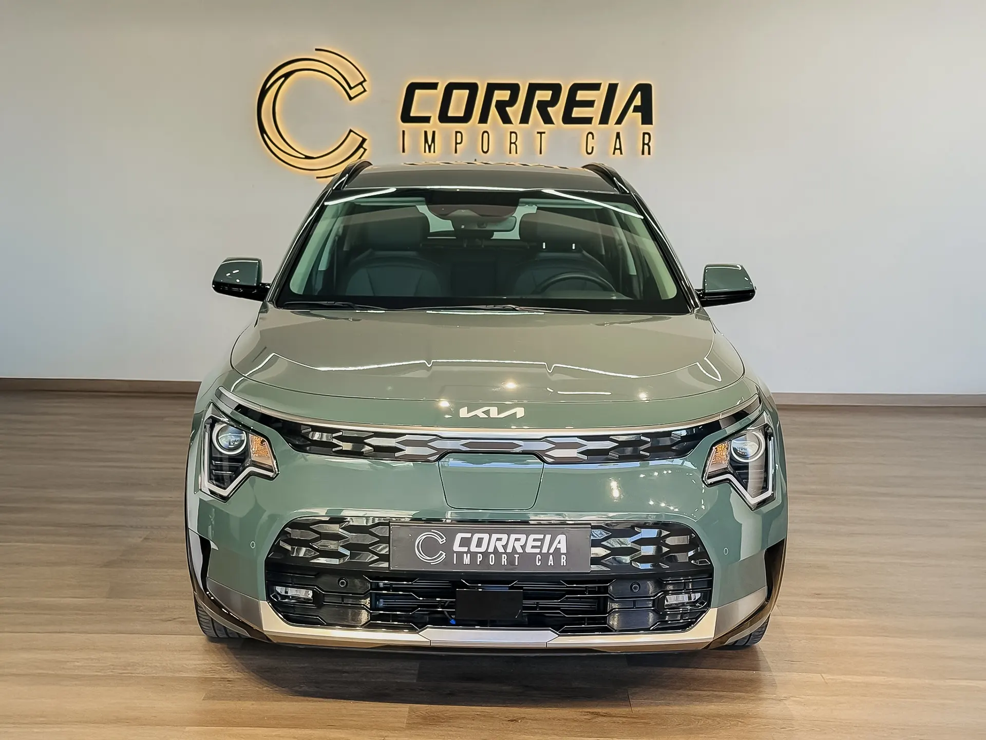 Kia Niro EV 64kWh Drive 2