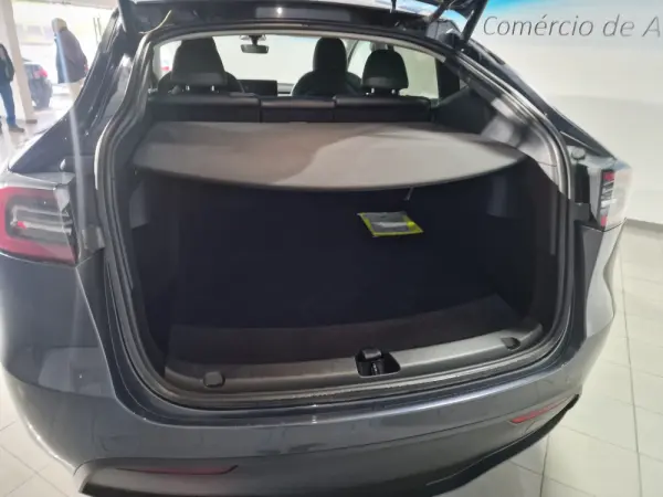 Tesla Model Y 5