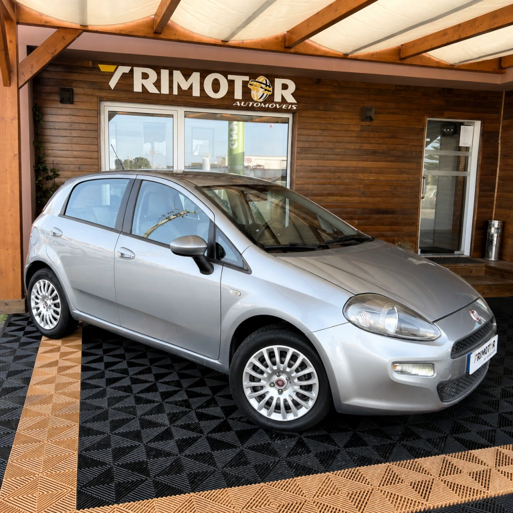 Fiat Punto Evo 1.3 16V Multijet S&S 1