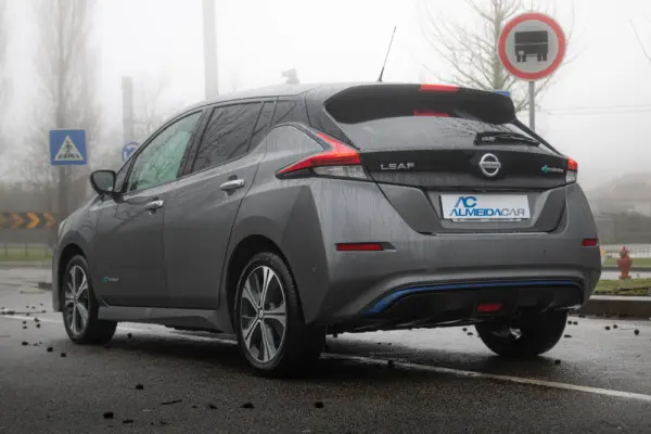 Nissan Leaf e+ Tekna 10