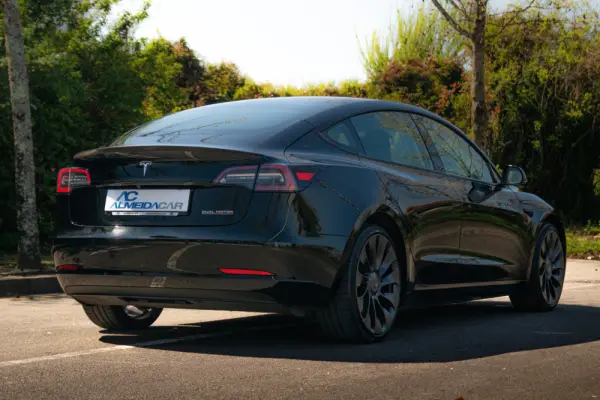 Tesla Model 3 Long Range AWD Dual Motor Performance 30