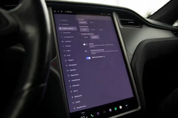 Tesla Model S 100D 53