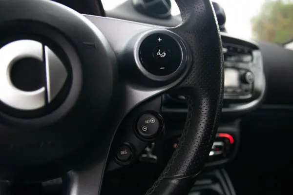 Smart ForFour Business Solution 33