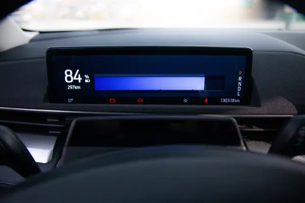 Ford Mustang Mach-E Standard 22