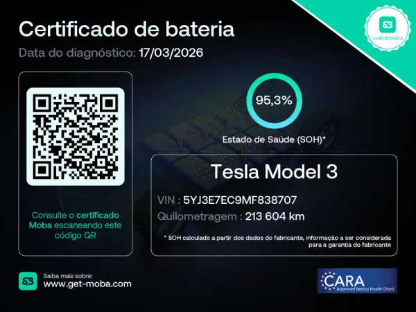 Tesla Model 3 Long Range AWD Dual Motor Performance 61