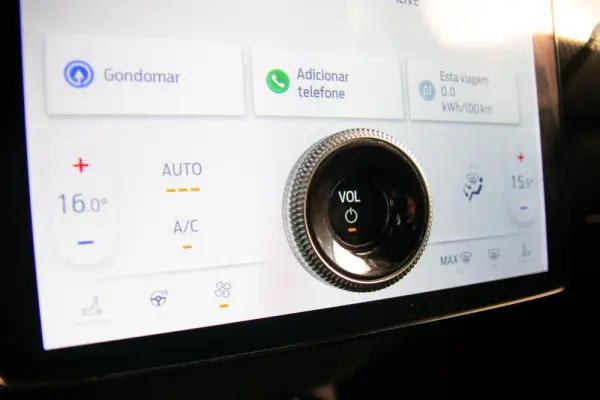 Ford Mustang Mach-E Standard 39