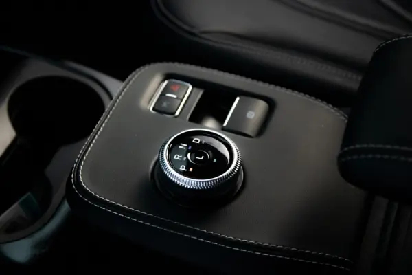 Ford Mustang Mach-E Standard 19