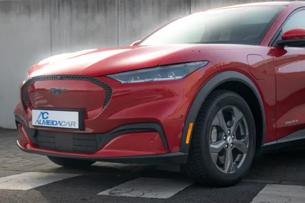 Ford Mustang Mach-E Standard 2