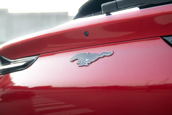 Ford Mustang Mach-E Standard 25