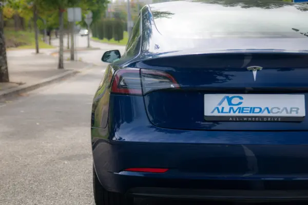 Tesla Model 3 Long-Range Dual Motor AWD 12