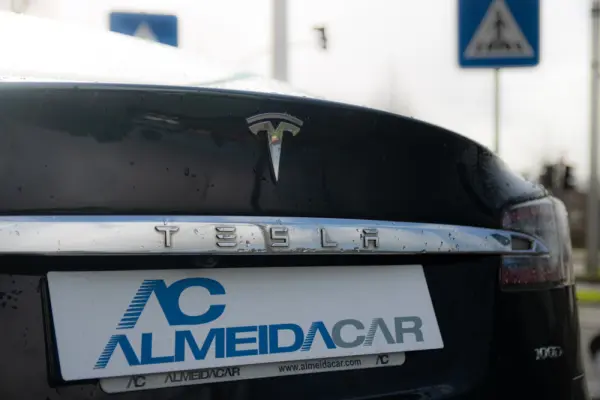 Tesla Model S 100D 22