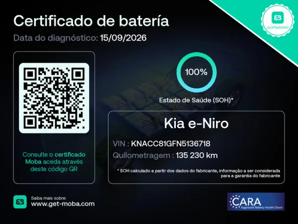 Kia e-Niro 64kWh 9