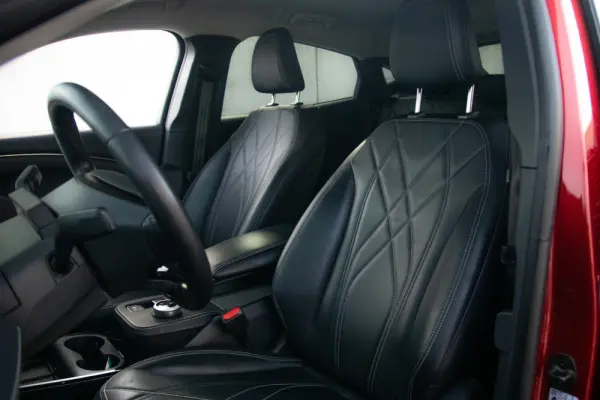 Ford Mustang Mach-E Standard 15