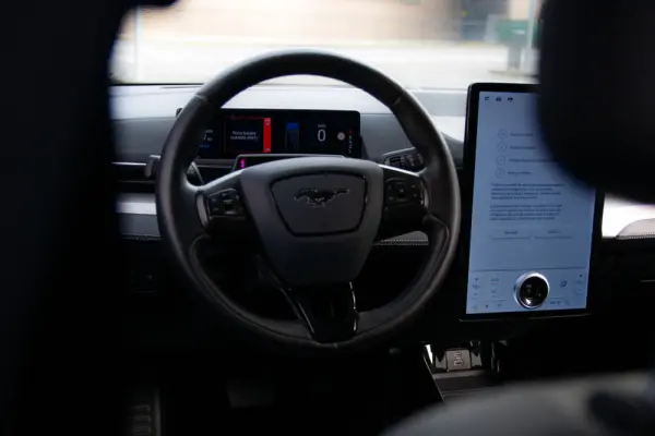 Ford Mustang Mach-E Standard 58