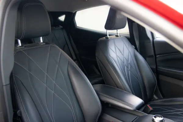 Ford Mustang Mach-E Standard 53