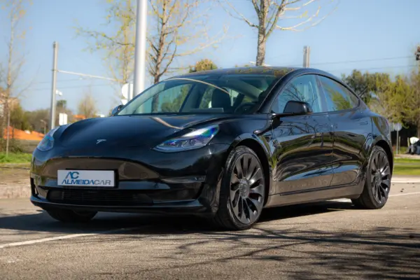 Tesla Model 3 Long Range AWD Dual Motor Performance 3