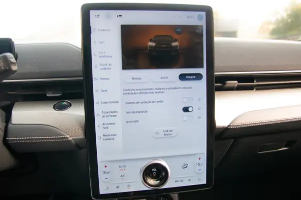 Ford Mustang Mach-E Standard 42