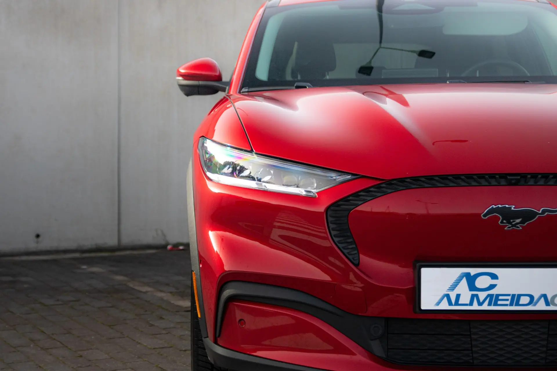 Ford Mustang Mach-E Standard 5