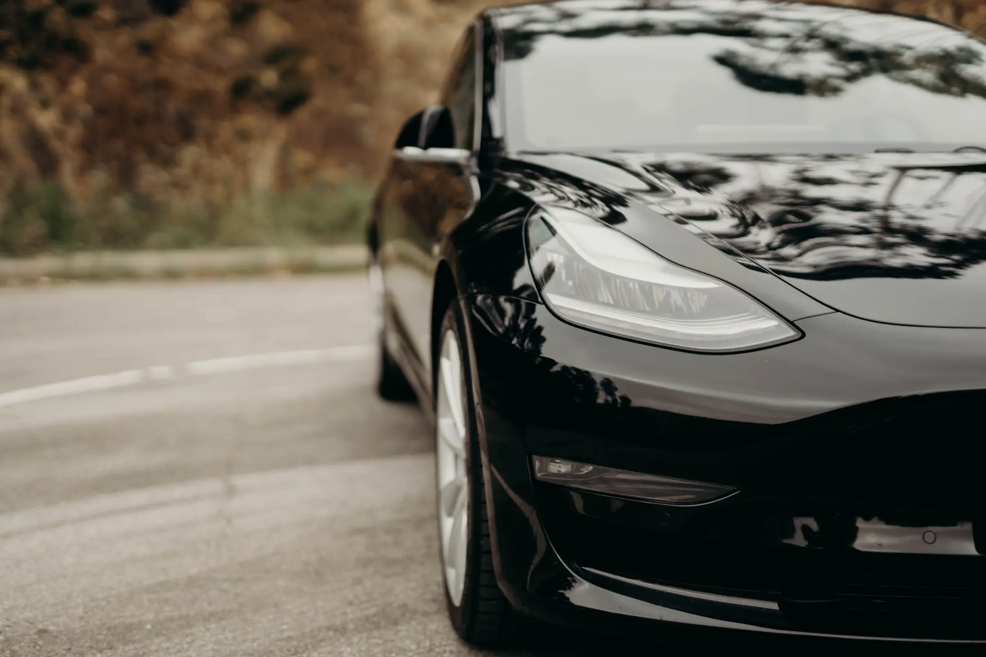 Tesla Model 3 Long Range AWD Dual Motor 36