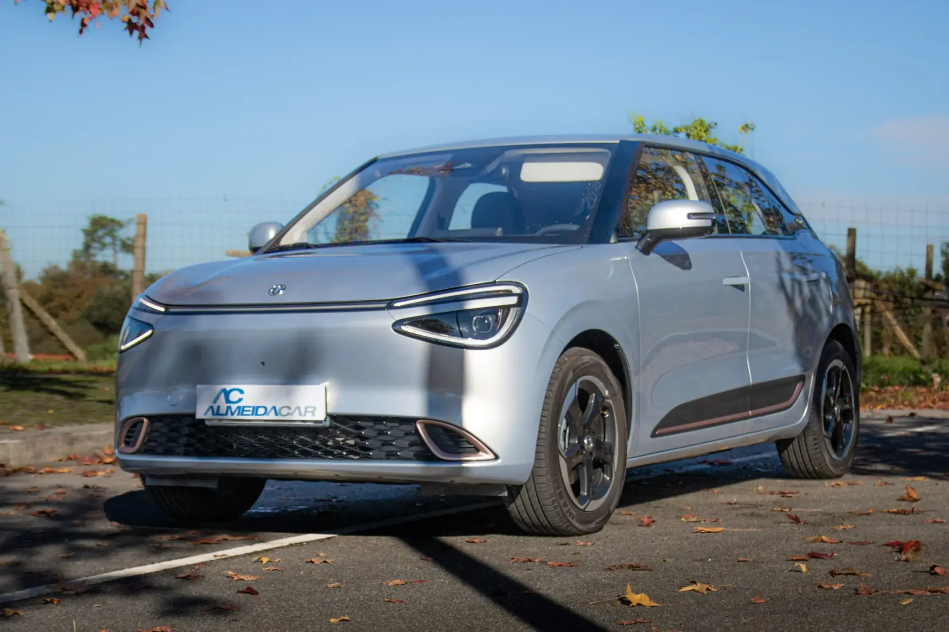 Dongfeng Box 42 kWh Pro 6