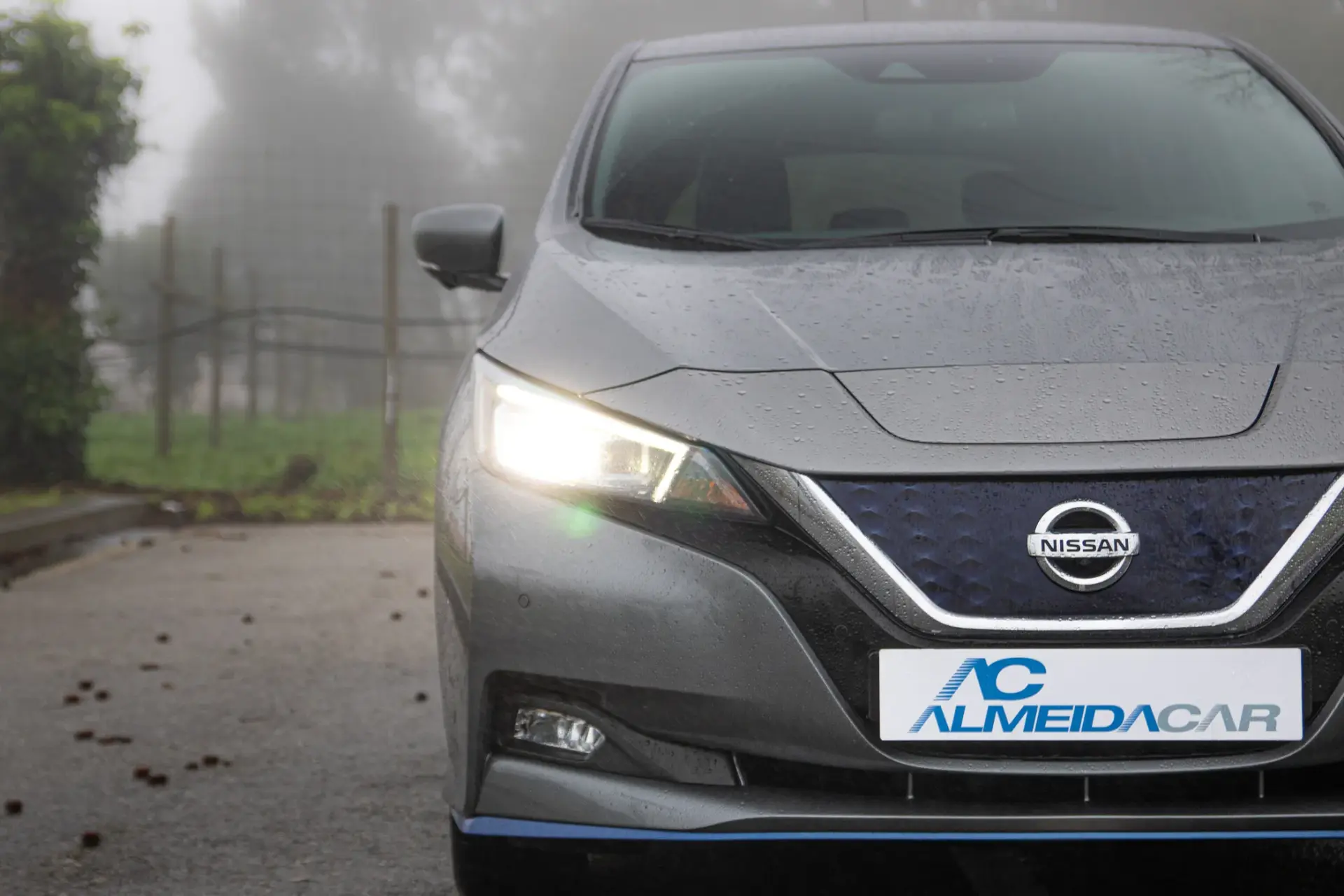 Nissan Leaf e+ Tekna 3