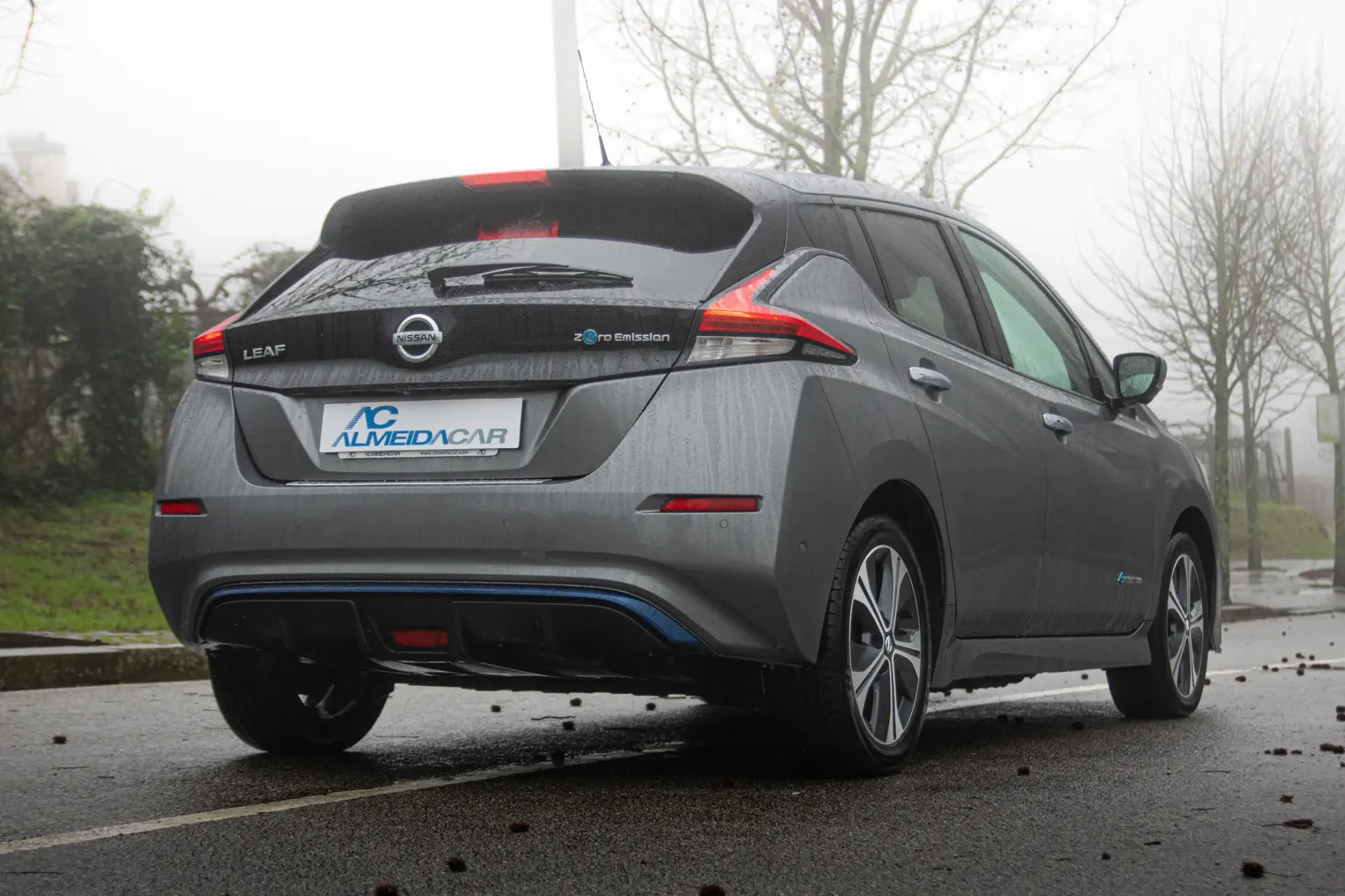 Nissan Leaf e+ Tekna 8