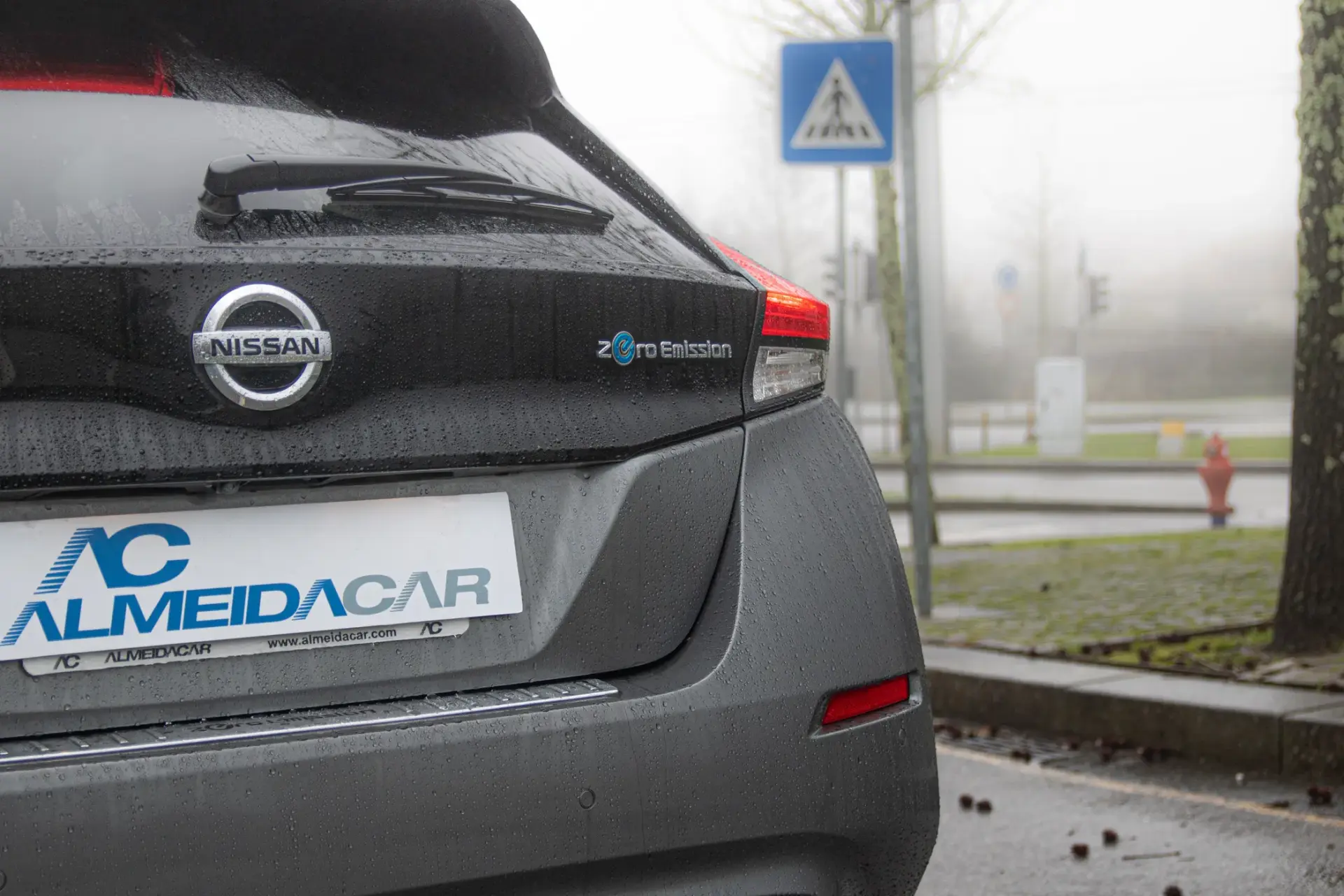 Nissan Leaf e+ Tekna 11