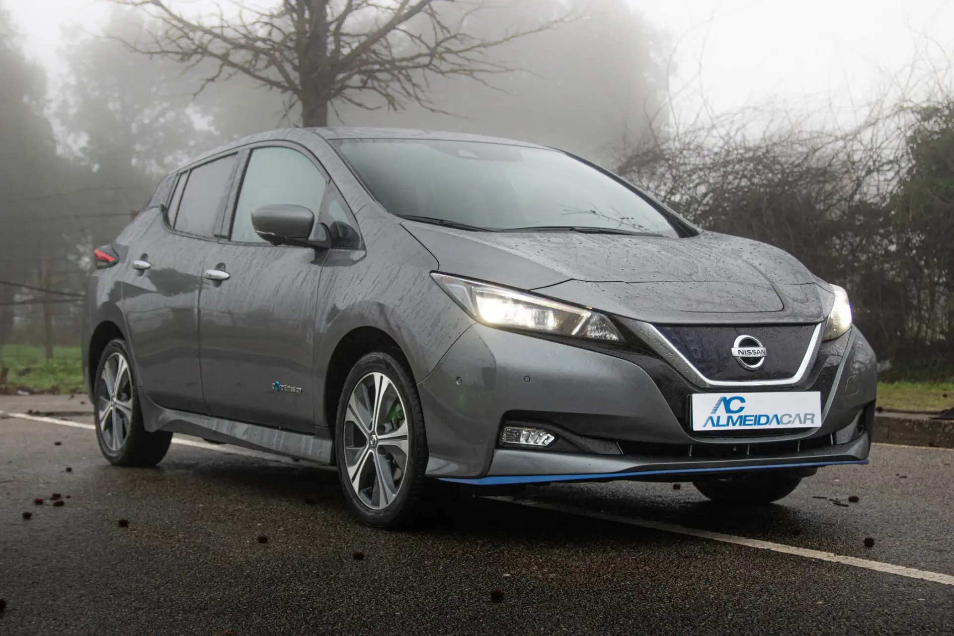 Nissan Leaf e+ Tekna 29