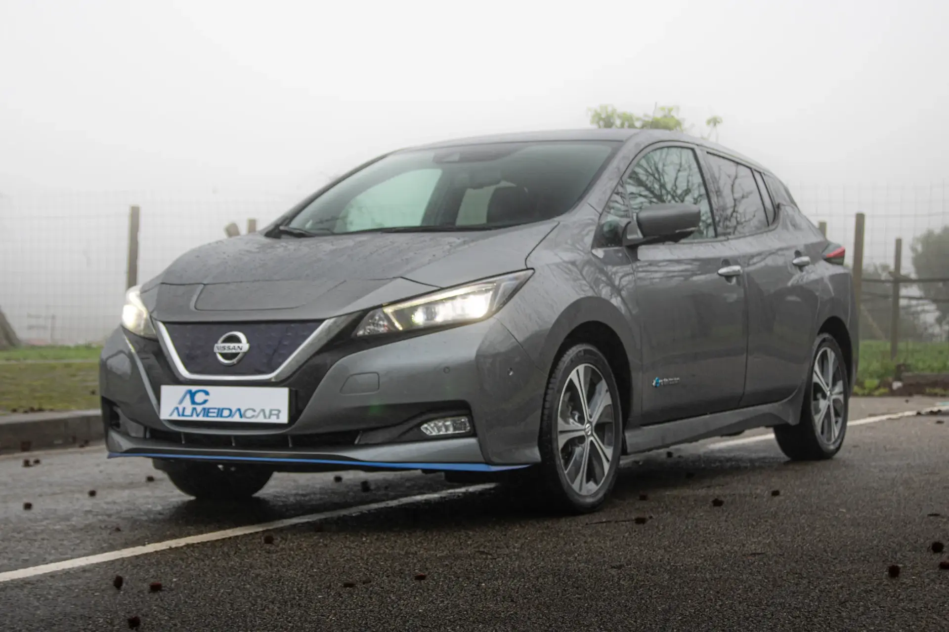 Nissan Leaf e+ Tekna 30