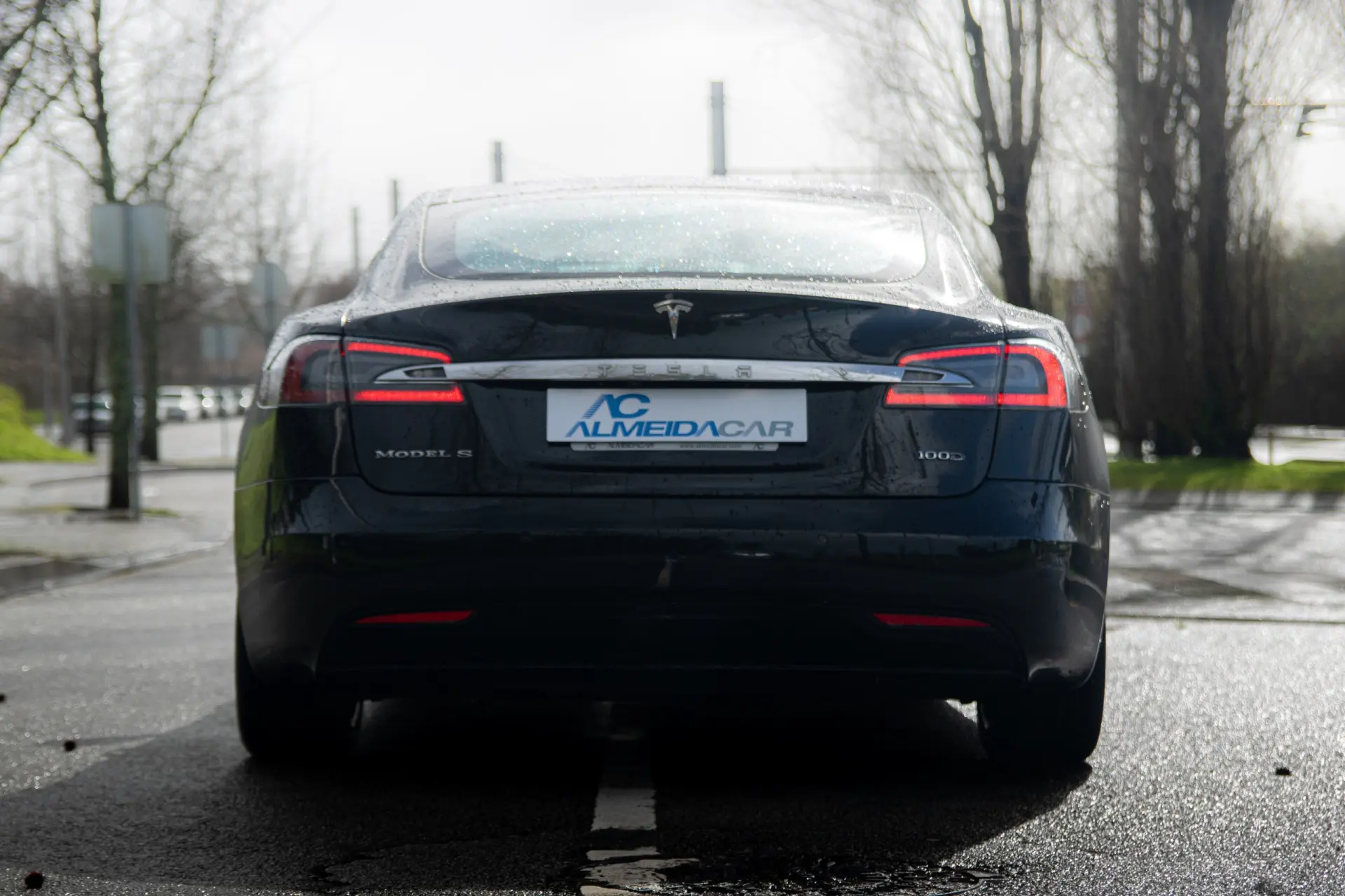 Tesla Model S 100D 18