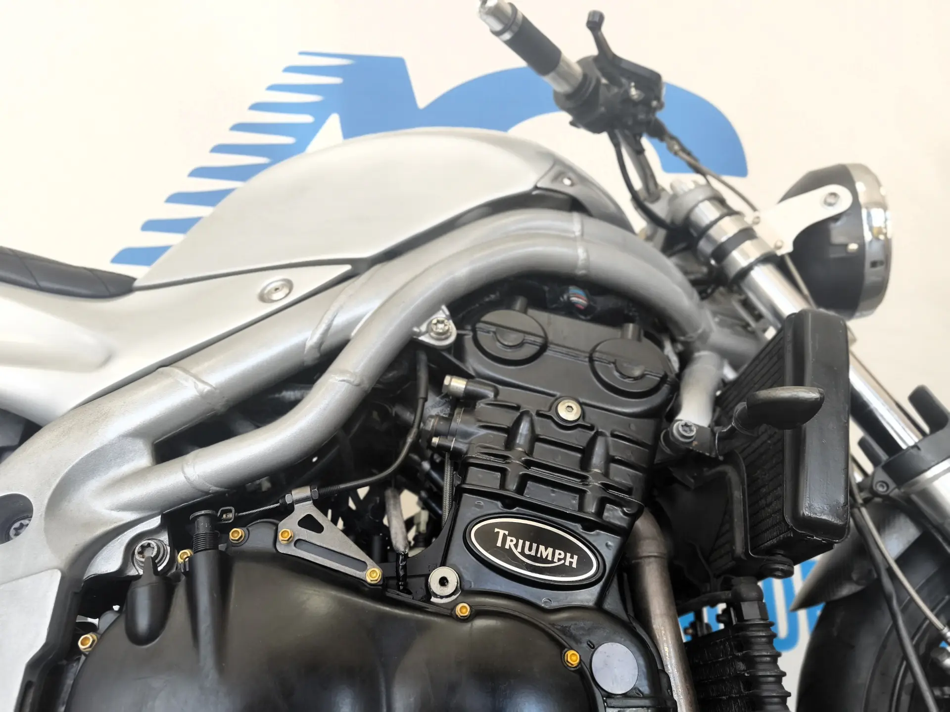 Triumph Daytona 6