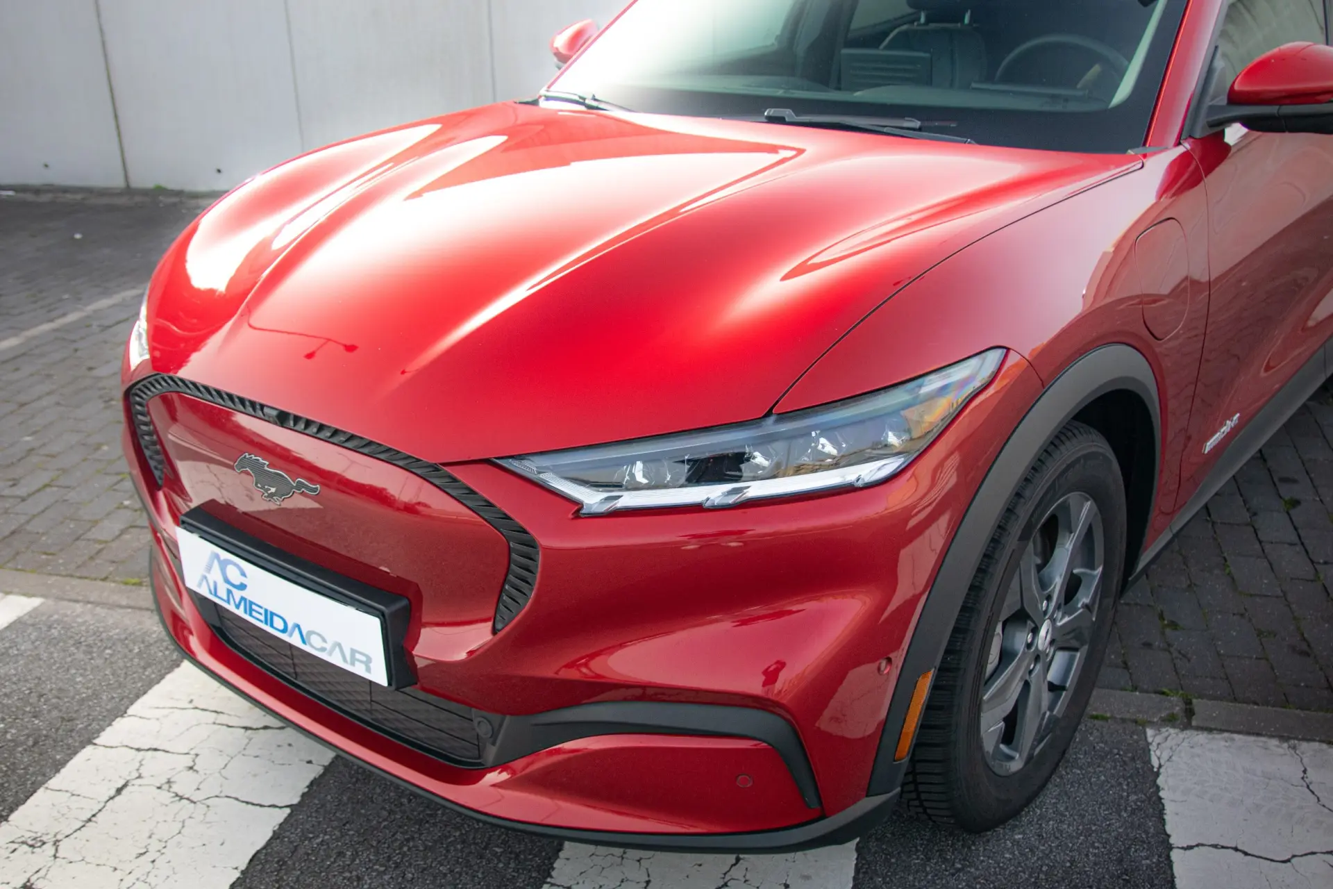 Ford Mustang Mach-E Standard 11