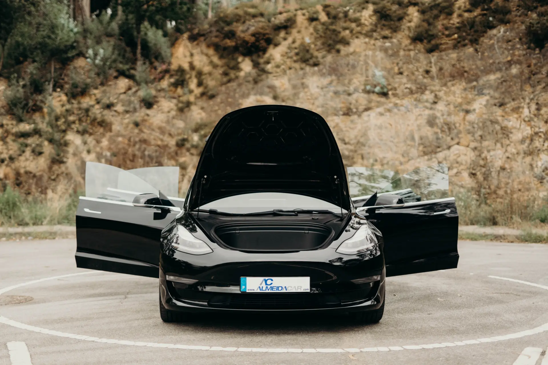 Tesla Model 3 Long Range AWD Dual Motor 22