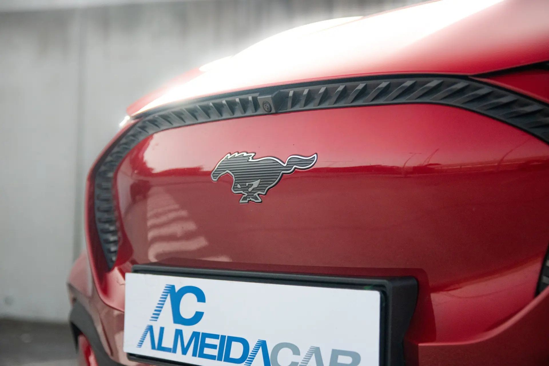 Ford Mustang Mach-E Standard 3