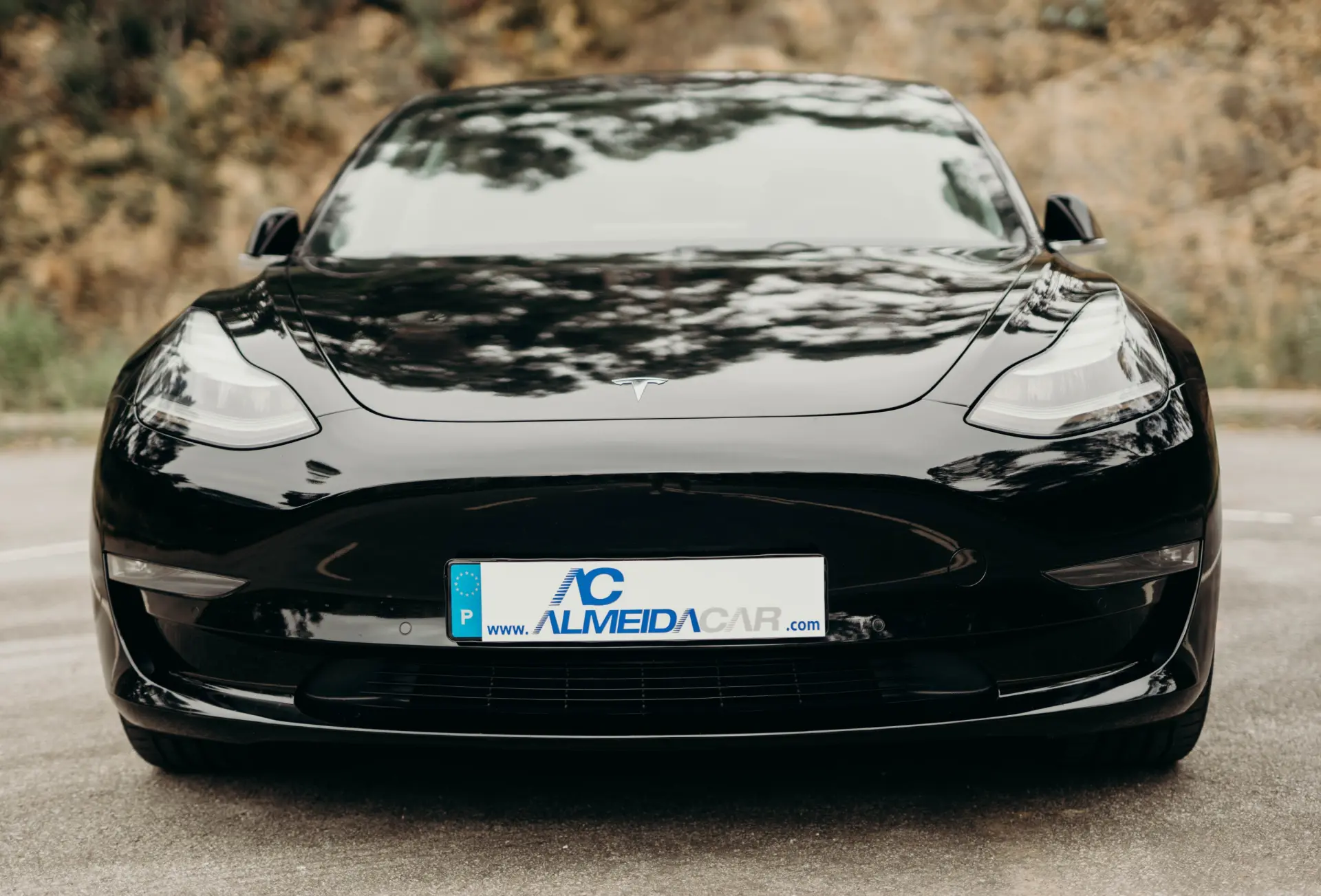 Tesla Model 3 Long Range AWD Dual Motor 47