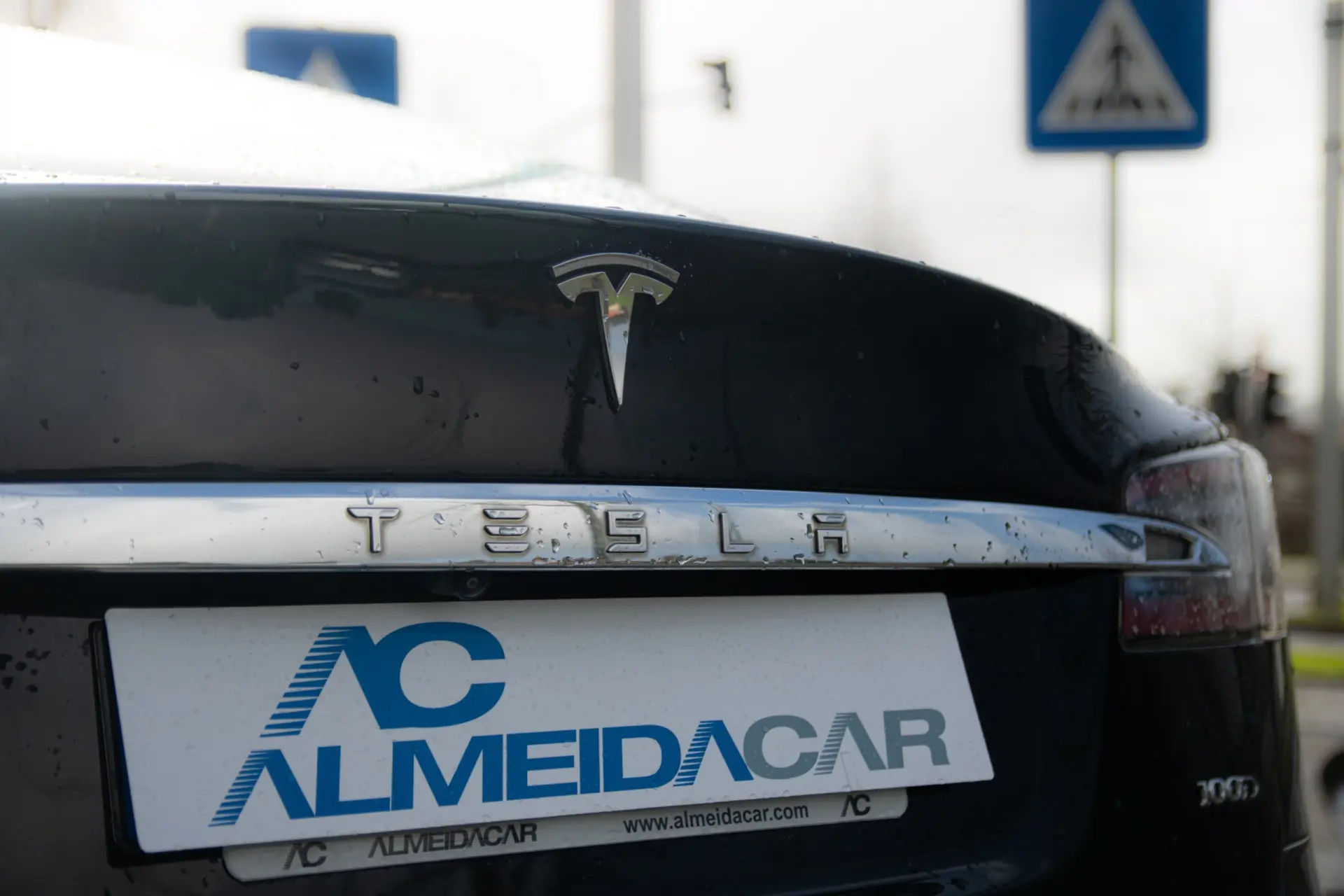 Tesla Model S 100D 22