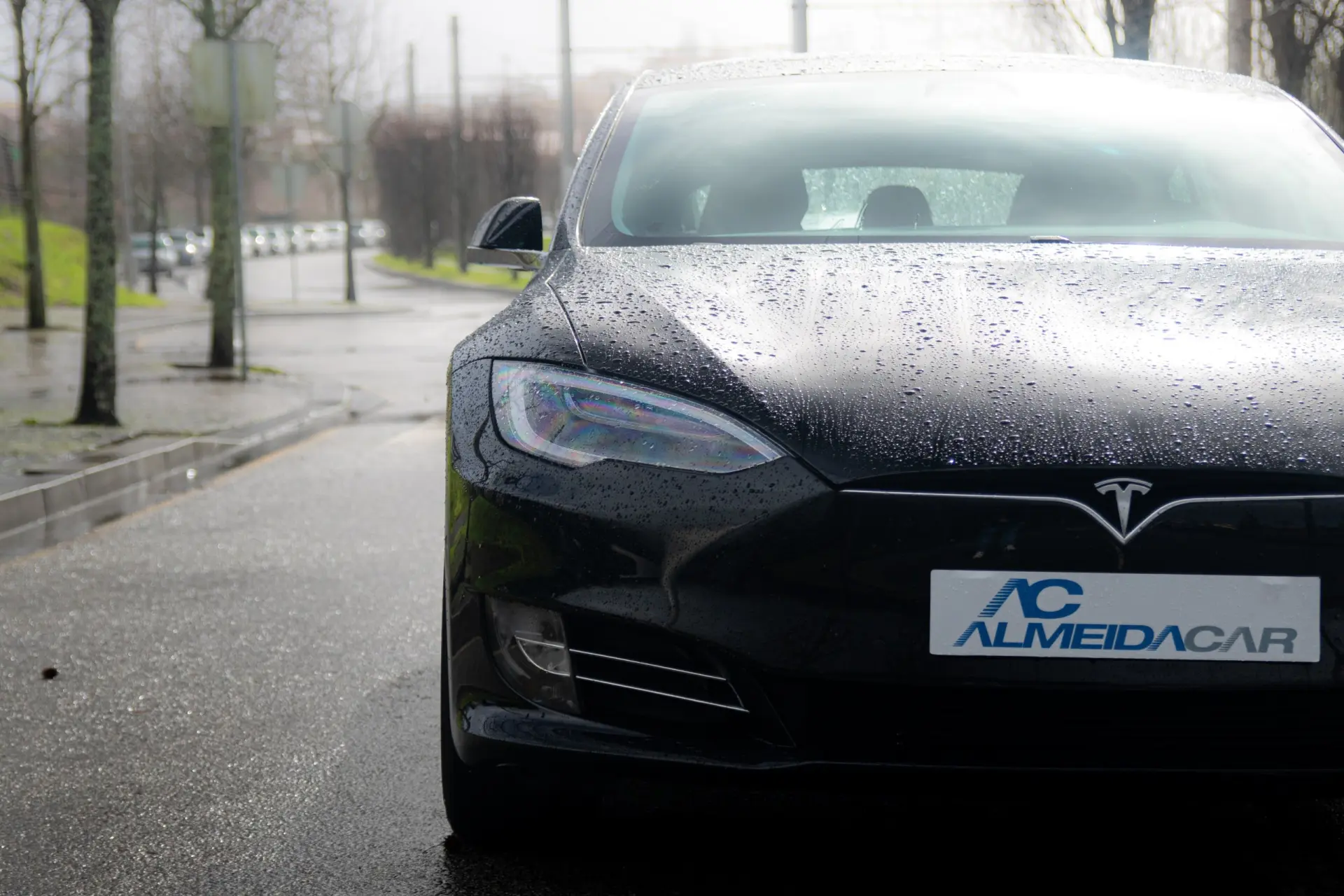 Tesla Model S 100D 4