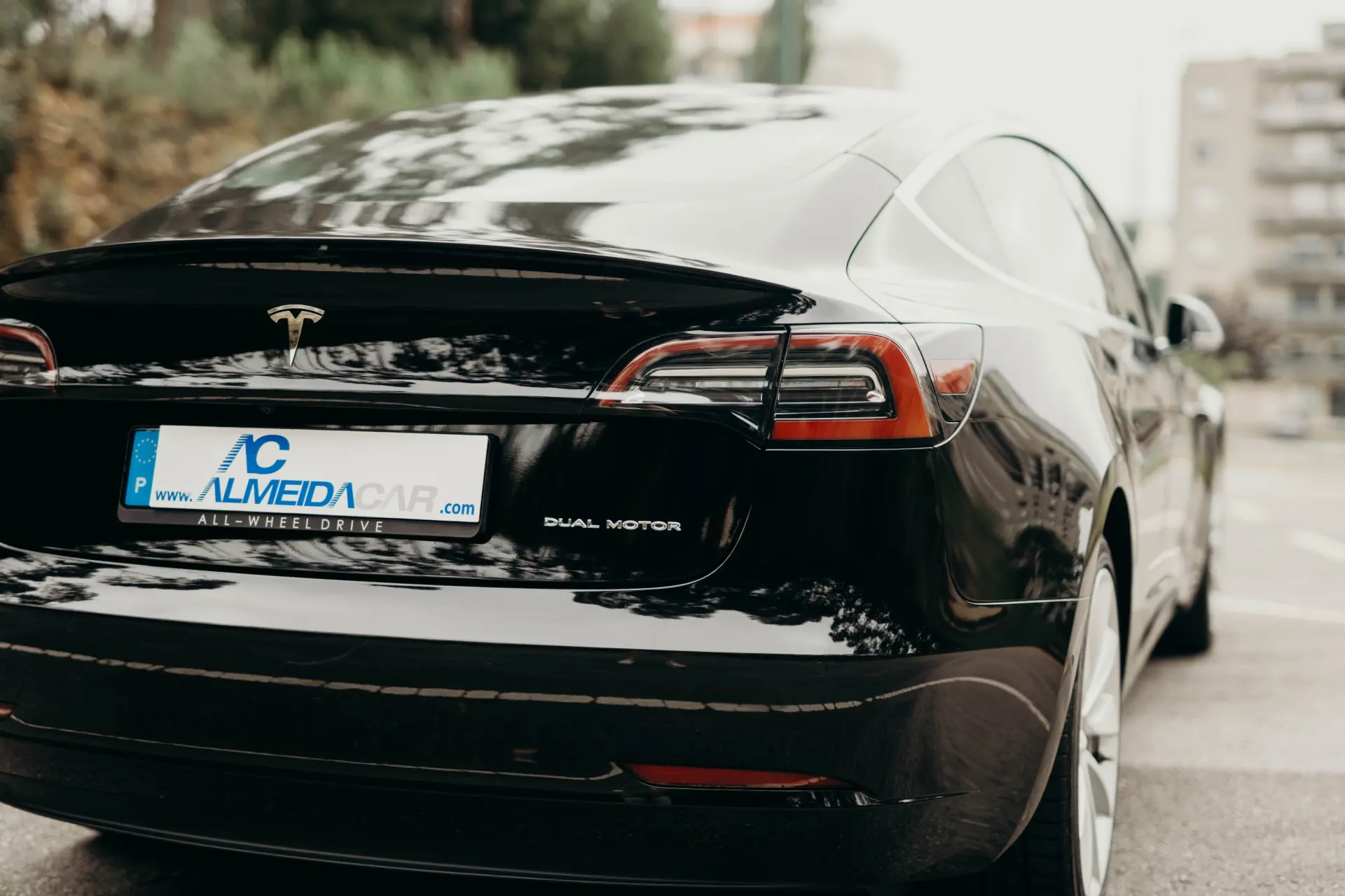 Tesla Model 3 Long Range AWD Dual Motor 17