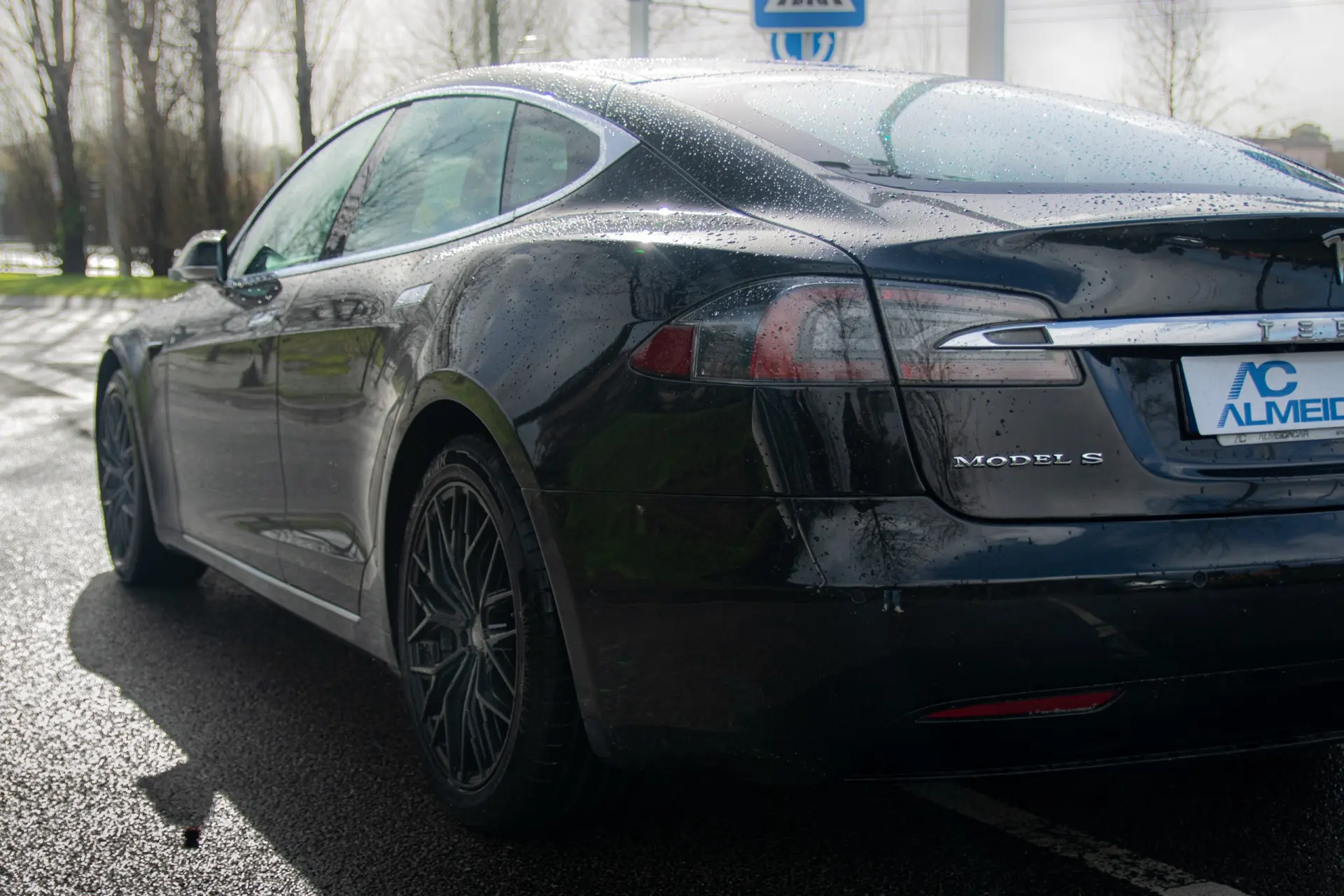 Tesla Model S 100D 27