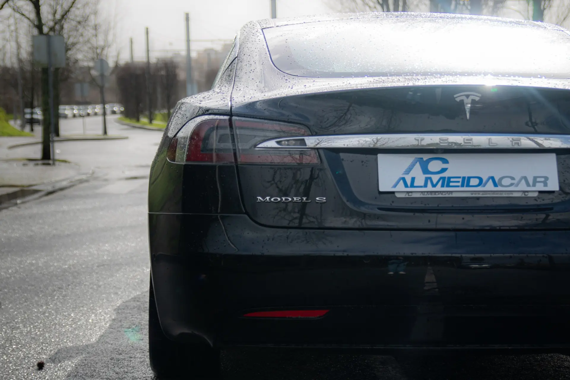 Tesla Model S 100D 21