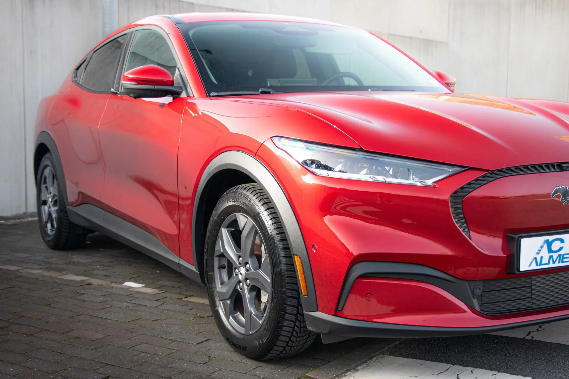 Ford Mustang Mach-E Standard 12