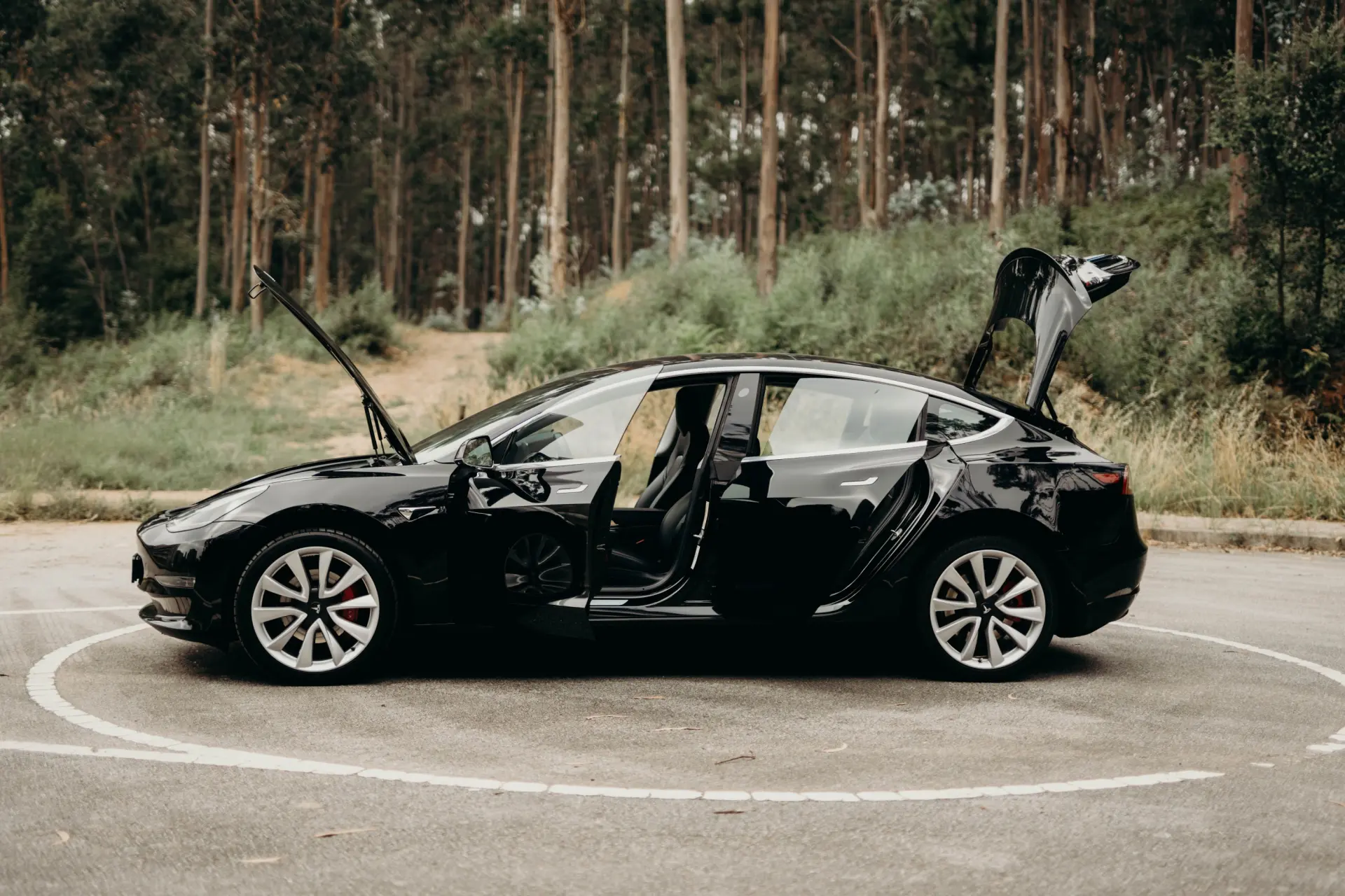 Tesla Model 3 Long Range AWD Dual Motor 12